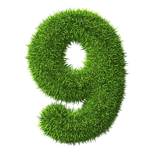 9 engrais naturels pour vos plantes !
