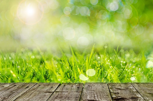 10 conseils pour avoir une bonne pelouse
