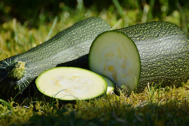 Les engrais naturels efficaces pour les courgettes