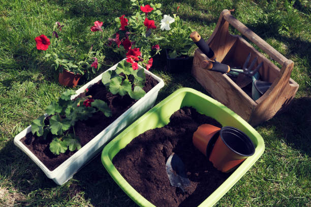 Comment faire de l’engrais fait maison ?
