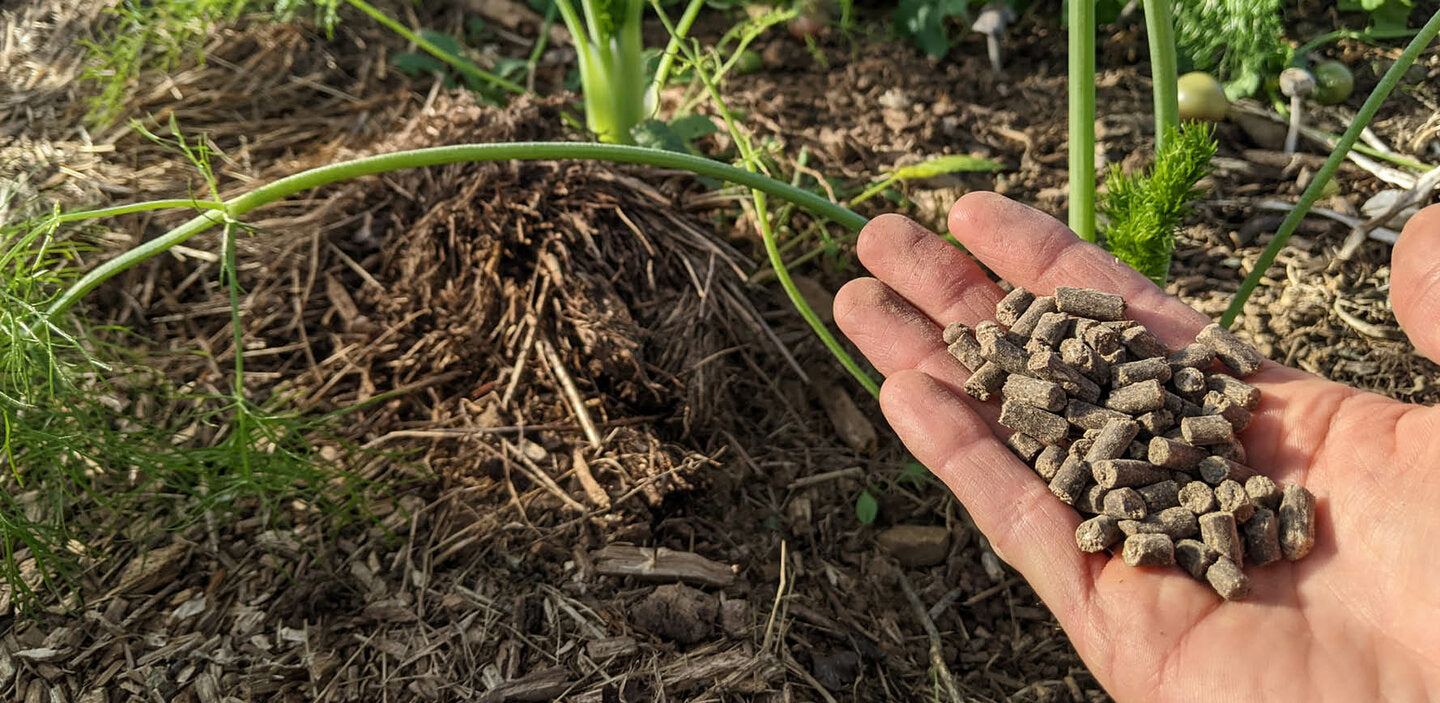Quel est le meilleur engrais naturel pour le jardin ?