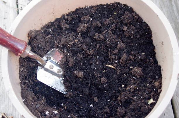 Quel type d’engrais est Miracle-Gro ?