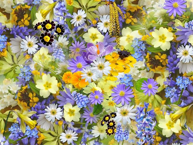 Quels engrais naturels privilégier pour la floraison ?