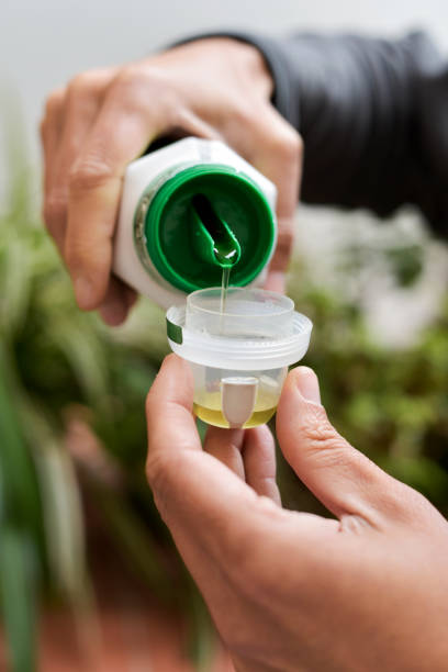 Comment faire de l’engrais naturel liquide ?