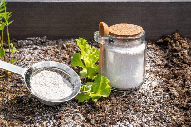 Comment faire de l'engrais avec du bicarbonate de soude ?