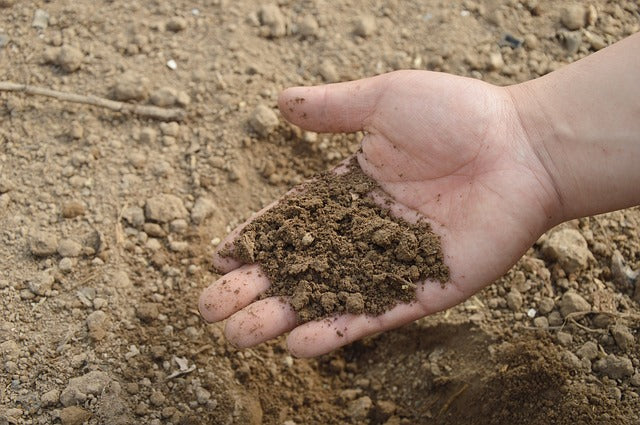 Quels sont les avantages d'un engrais naturel par rapport à un engrais chimique ?