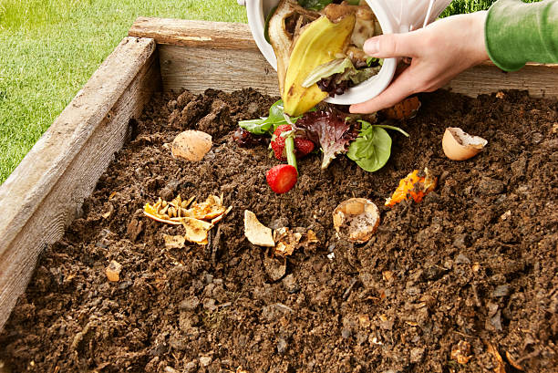 Comment faire de l’engrais rapidement ?