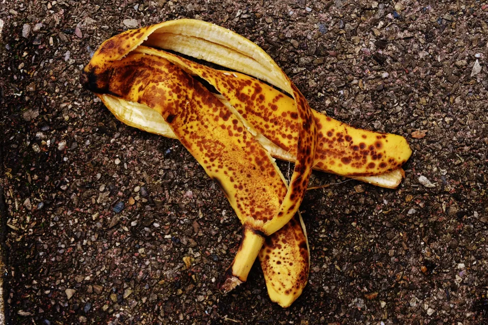 Est-ce que la peau de banane et le marc de café sont des engrais naturels ?