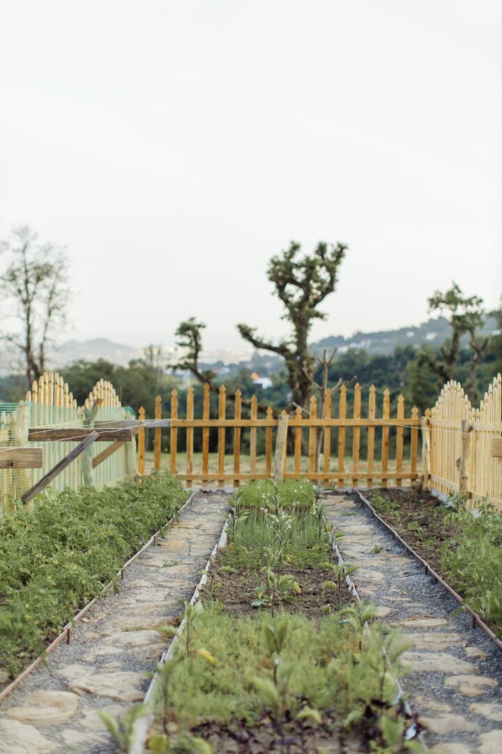 Quel engrais naturel utiliser pour le potager ?