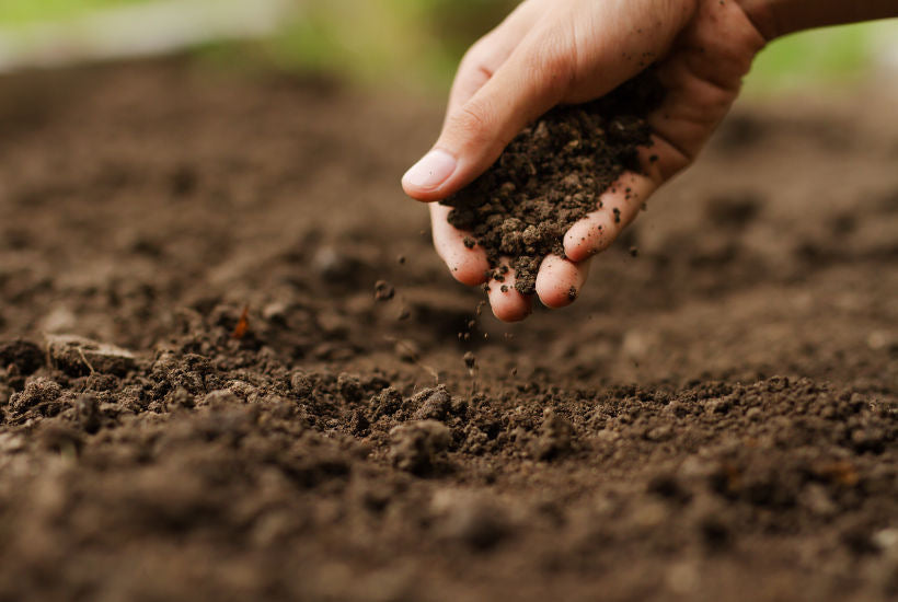 Comment enrichir la terre du jardin naturellement ?