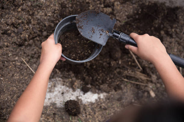 Comment fertiliser le sol naturellement ?