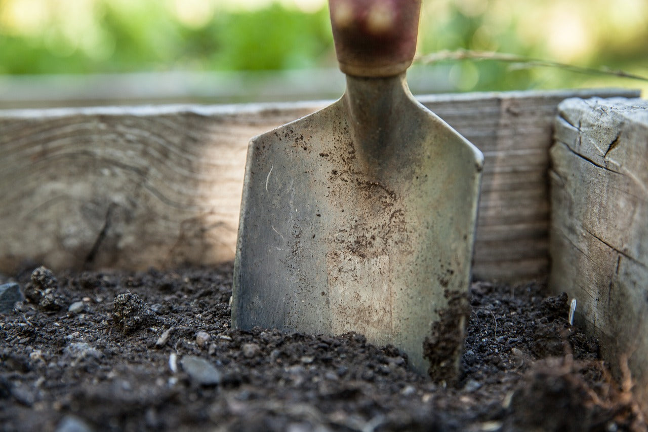 Choisir le meilleur engrais pour les plantes intérieures