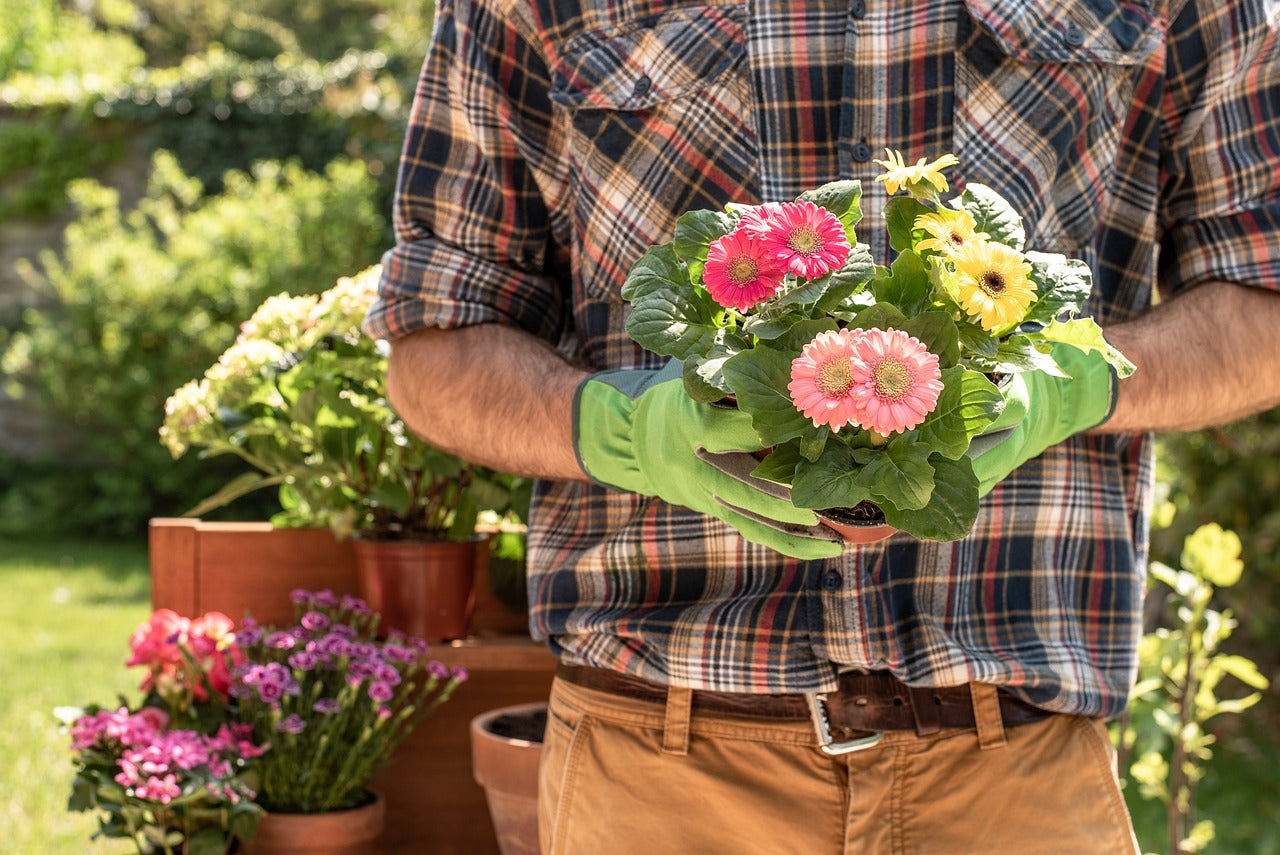 Quel gain s'attendre en utilisant de l'engrais ?