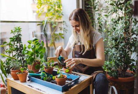Quels sont les plantes qui ne supportent pas l'engrais ? Ou nécessite pas d'engrais !