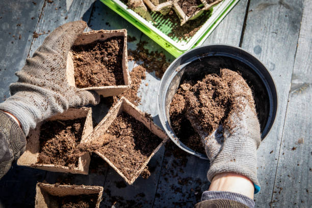 Quelles sont les plantes qui ne supportent pas le marc de café ?