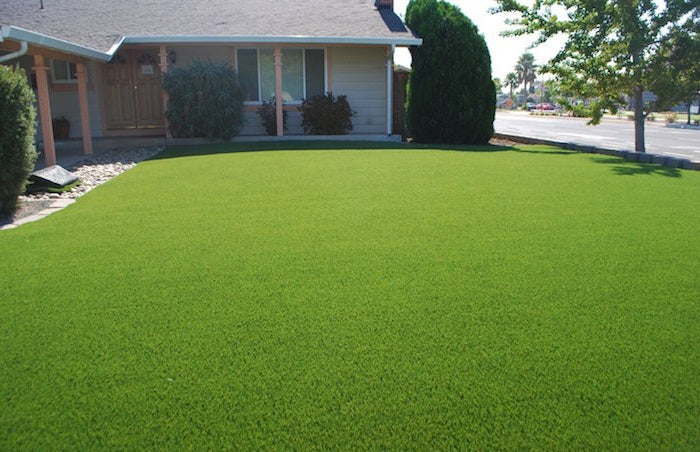 Comment fertiliser une pelouse ?
