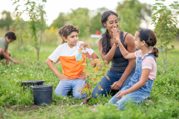 Comment redonner du peps à une plante ?