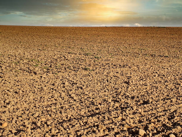 Comment enrichir une terre pauvre naturellement ?